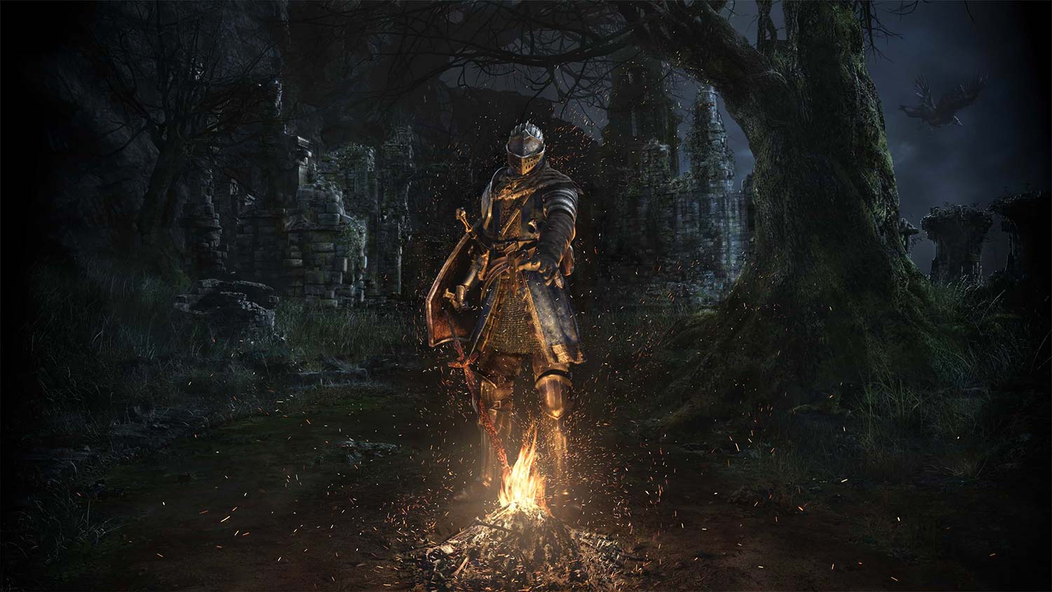 image_jeu